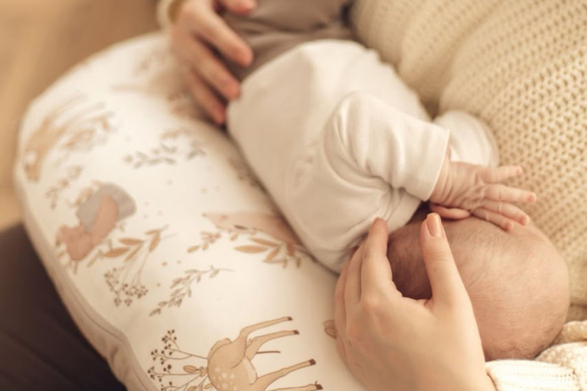 Happy Goose Nursing Pillow