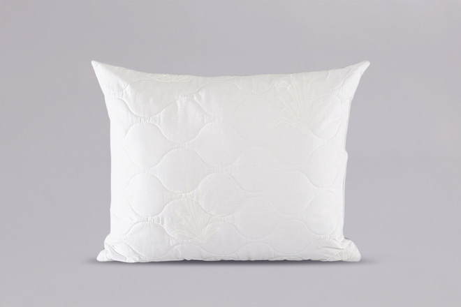 Cuscino Aloe Vera 50x60