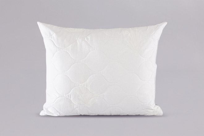 Cuscino Aloe Vera 50x60