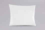 Hollofil® Allerban®Pillow 50x60