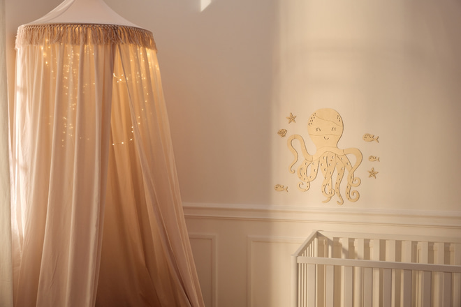 Powder Pink Boho Canopy