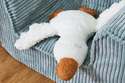 Doudou Oie