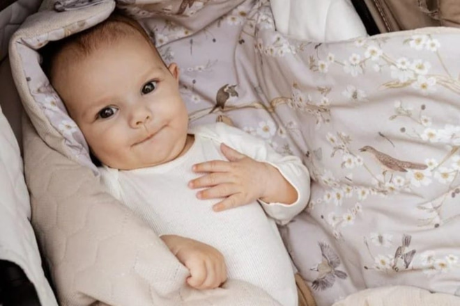 Copertina per ovetto estiva Birdsong