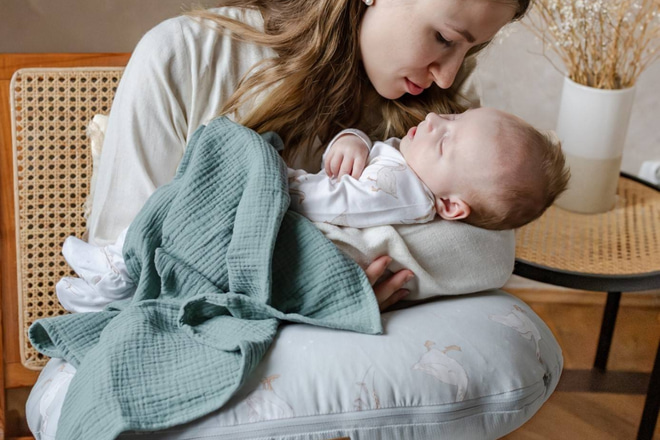 Happy Goose Nursing Pillow