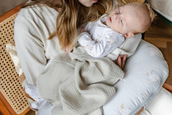 Happy Goose Nursing Pillow