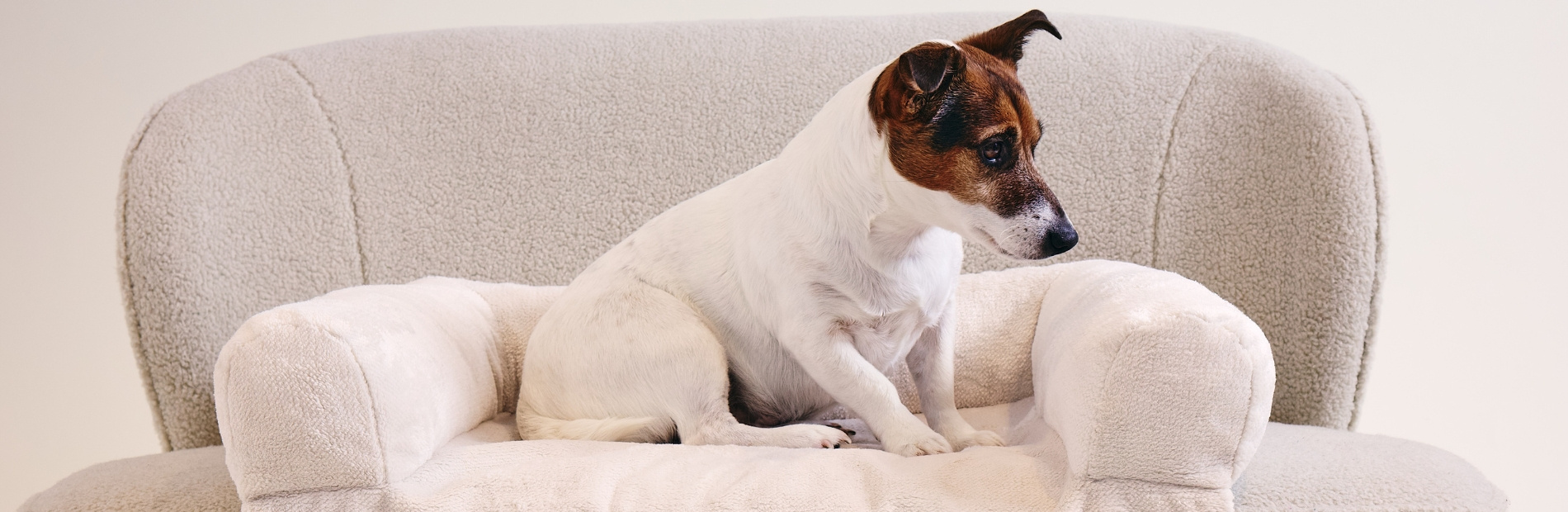 Animaux de Compagnie : Paniers, matelas et jouets | Mon Lit Cabane