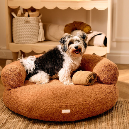 Kućni ljubimci
