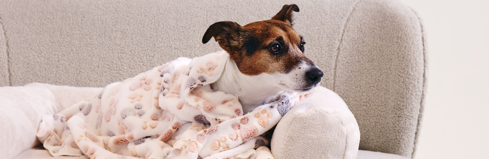 Spielzeug für Hunde und Katzen | Mon Lit Cabane