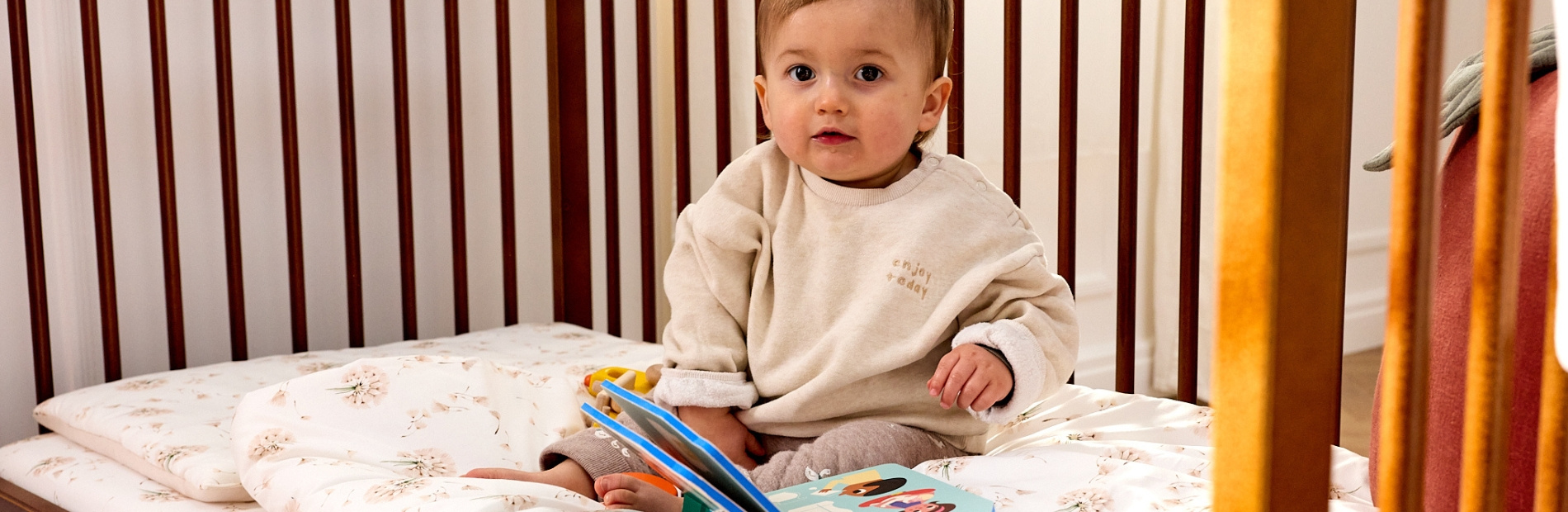 Löwenzahn Kollektion