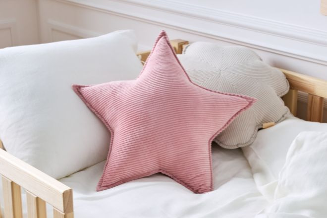 Velvet Cushion