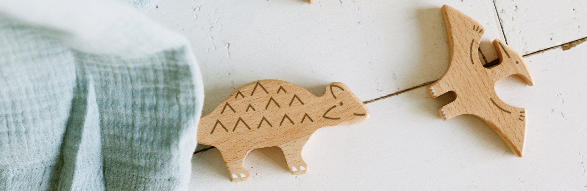 Decorações Tema Dinossauros | Mon Lit Cabane