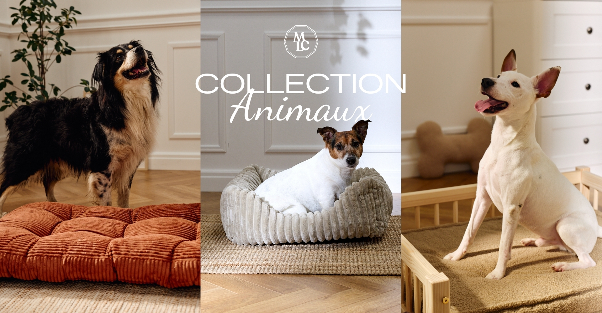 Design sans titre.jpg