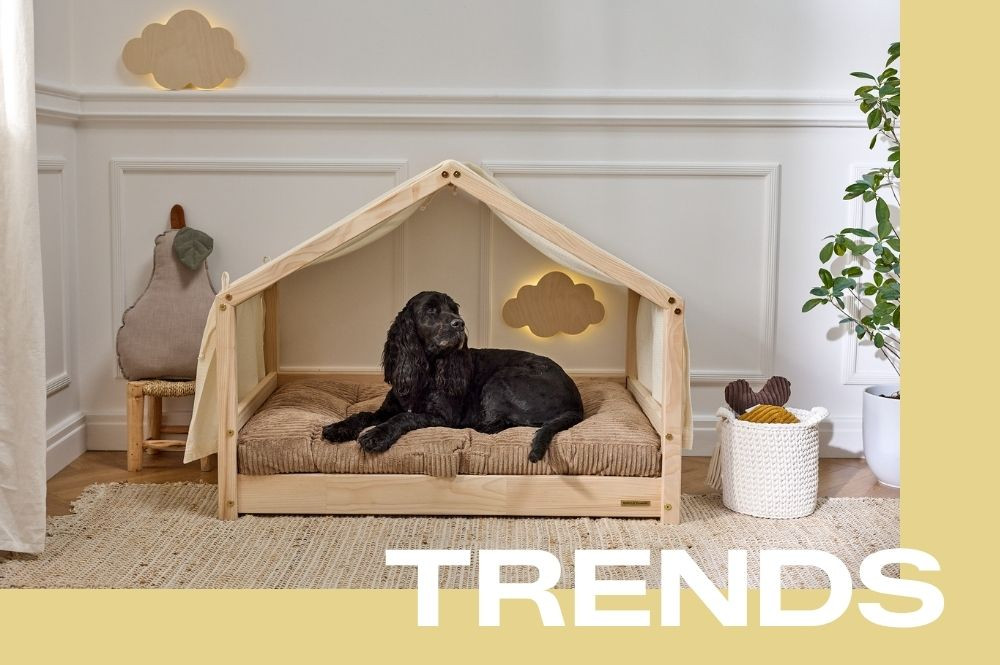 🐾 New Animal Collection: Beds and accessories designed for all four‑legged friends!