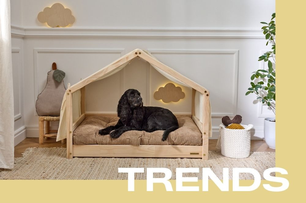 🐾 New Animal Collection: Beds and accessories designed for all four‑legged friends!